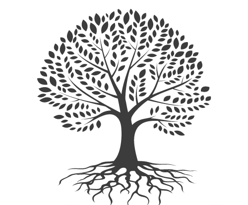 IRJMS Logo